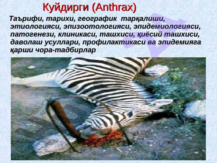 Куйдирги таърифи ва унинг тарқалиш механизмлари