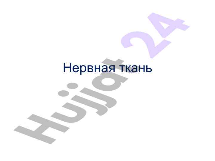 Нервная ткань анализ структуры и функций