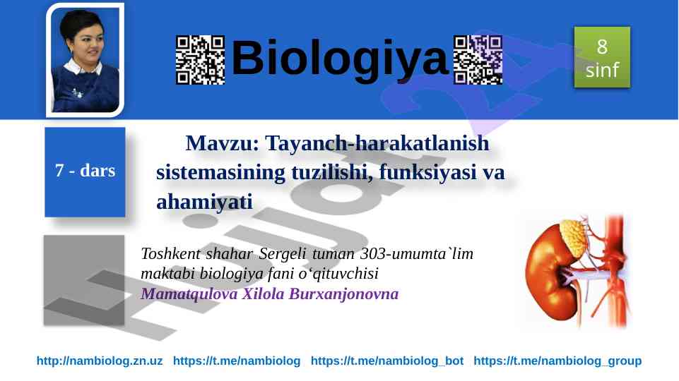 Tayanch-harakatlanish sistemasining tuzilishi va ahamiyati