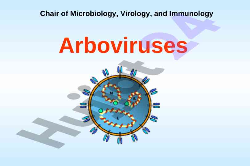 Arboviruses and their taxonomic classification
