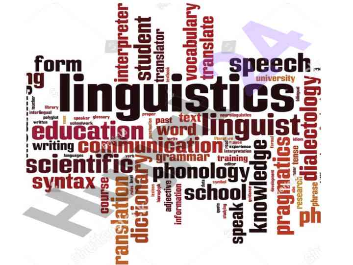 Branches of linguistics and their key aspects