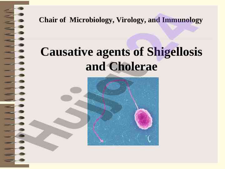 Causative agents of shigellosis and cholerae