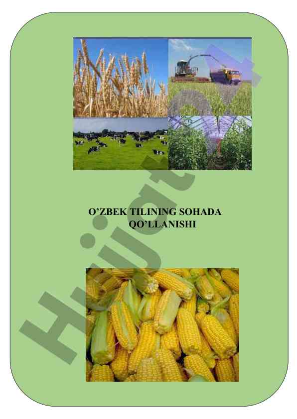 O‘zbekiston respublikasi oliy ta'lim qo‘llanmasi