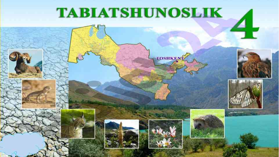 Yulduzlar va quyosh haqida ma'lumotlar