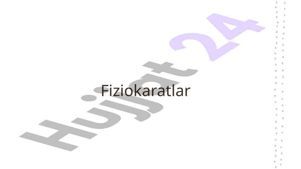 Fizik kartalar: innovatsion taʼlim vositalari