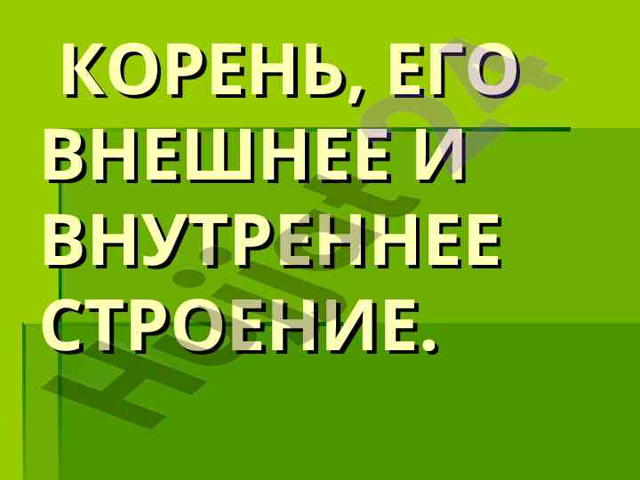 Struktura kornea i jeho funktsiyalari