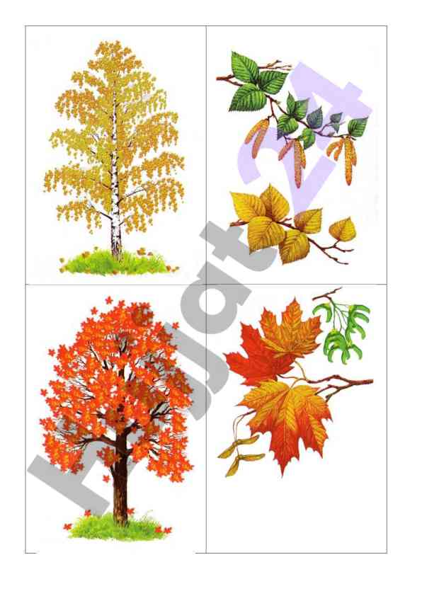Visual presentation of key concepts and ideas