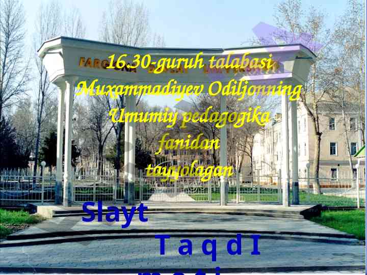 Asosiy ta'lim shakllari va darsni tashkil etish