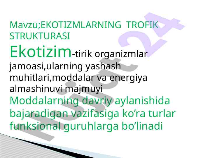 Ekotizmlarning trofik strukturasi analizi