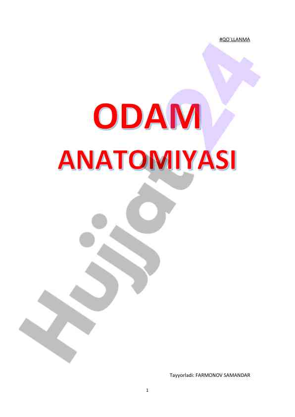 Osteologia umurtqa pogonasi tushunchalari