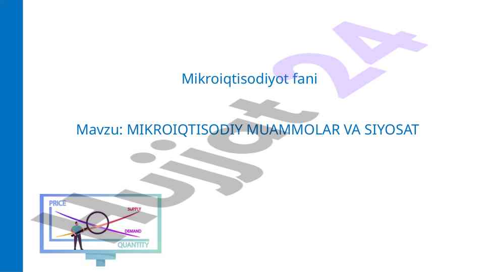 Mikroiqtisodiy muammolar va siyosat masalalari