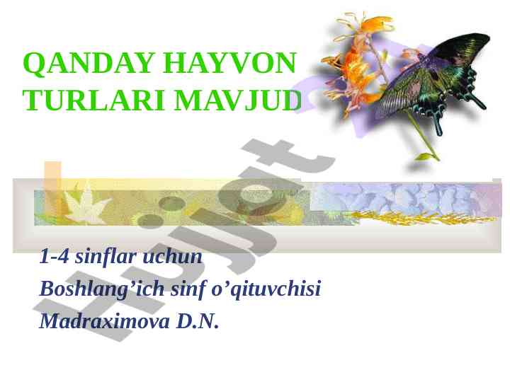 Hayvon turlari haqida qiziqarli ma'lumotlar