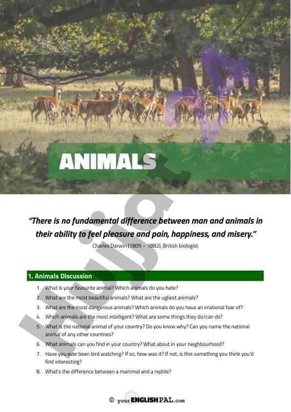 Discussion and vocabulary on animal characteristics