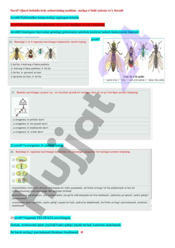 Biologik ahamiyat va irsi axborot o'tishi