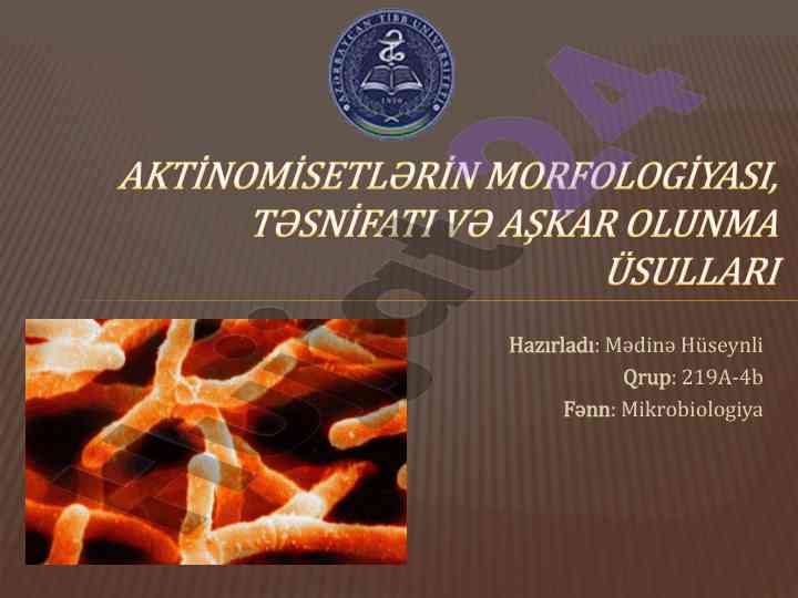 Mikrobiologiya aktinomisetlərin morfologiyası və təsnifatı