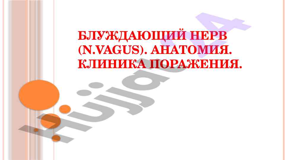 Блуждающий нерв анатомия клиника поражения