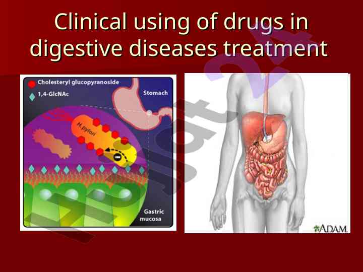 Clinical use of drugs in digestive disease treatment