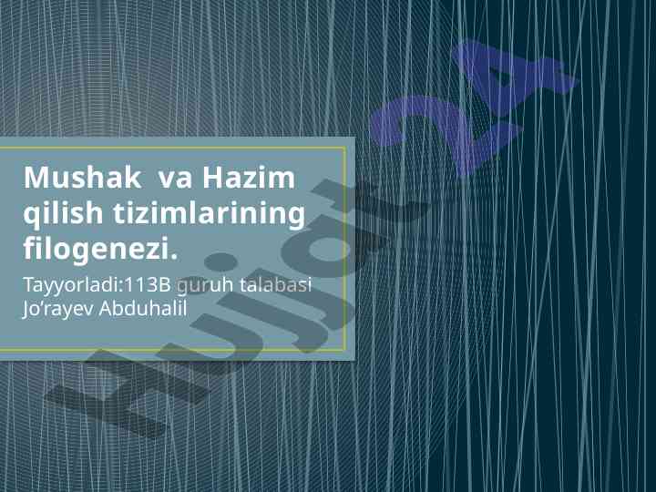 Mushak va hazim qilish tizimlarining filogenezi