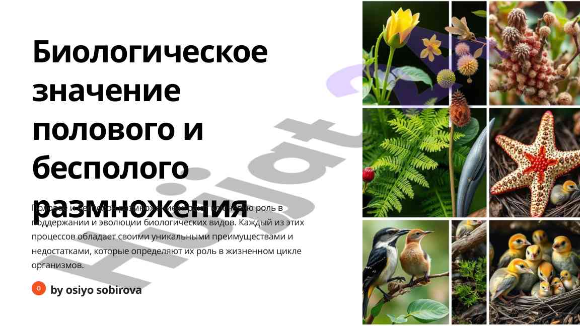 Biologik ahamiyati polovogo va bepolovogo ramjosh