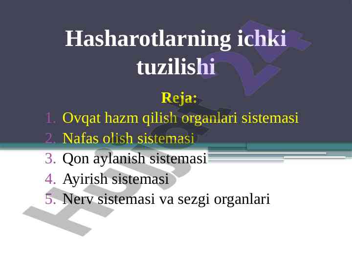 Hasharotlarning ovqat hazm qilish tuzilishi