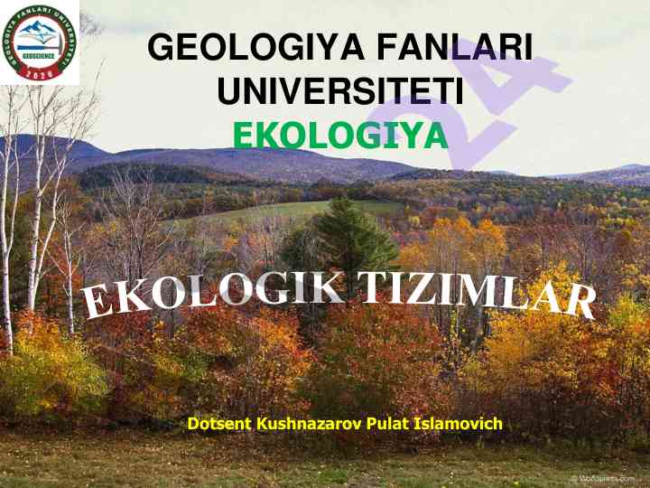 Ekologiya va ekotizm tushunchalari haqida ma'lumotlar