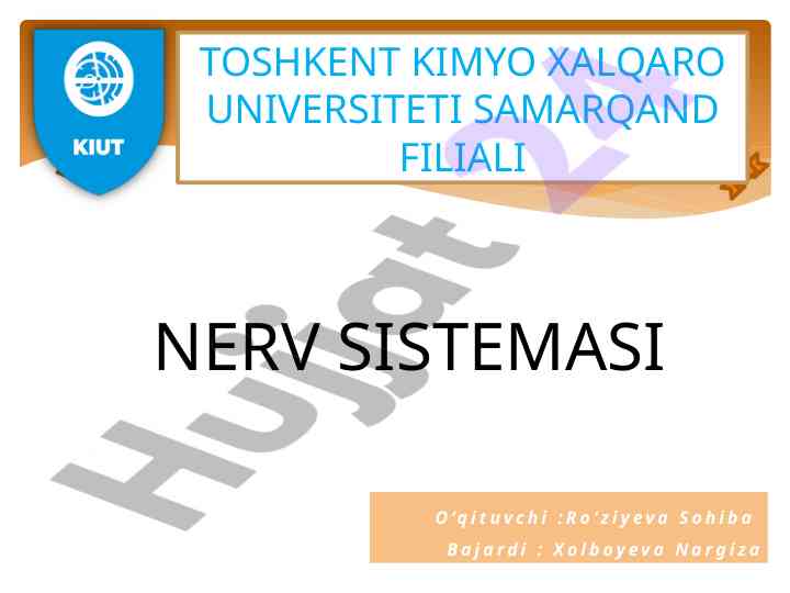Nerv sistemaning tuzilishi va funksiyalari