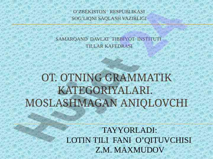 Otning grammatik kategoriyalari haqida ma'lumotlar