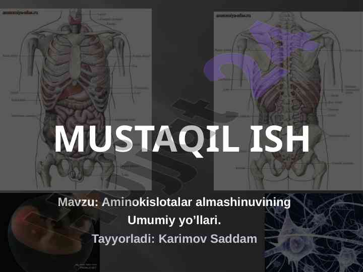 Aminokislotalar almashinuvining umumiy yo'llari