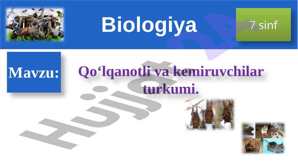 Qo‘lqanotli va kemiruvchilar turkumi