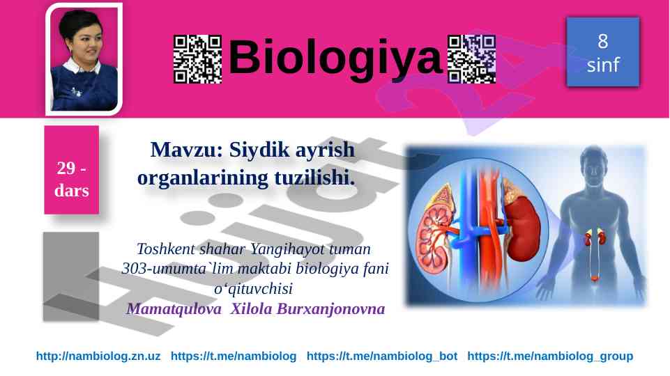 Siydik ajratish organlarining tuzilishi 8-sinf