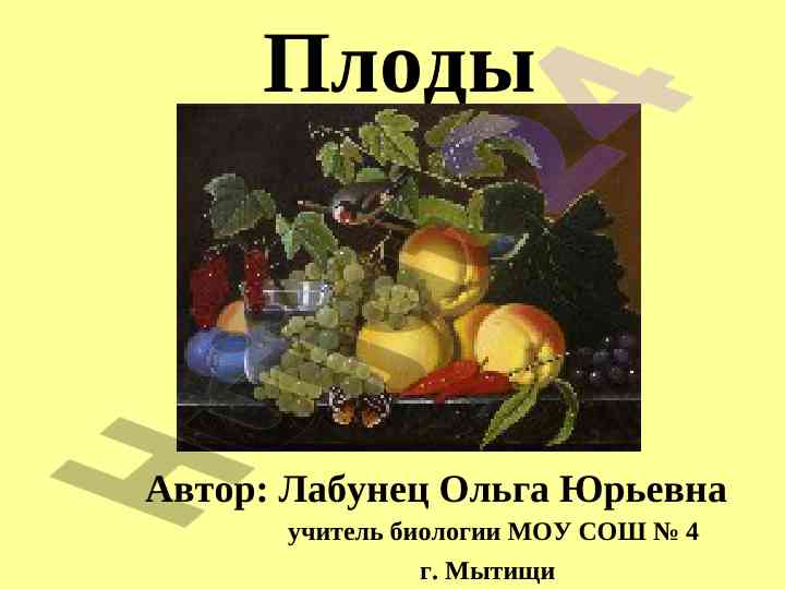 Определение типов и названий соцветий и плодов