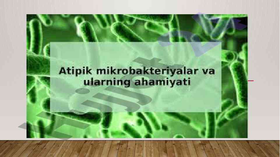Mikobakteriyalar va ularning kasallik keltirish turlari