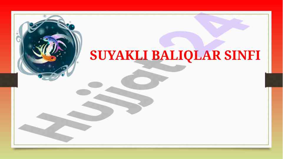 Suyakli baliqlar sinfi va tog’ayli baliqlar