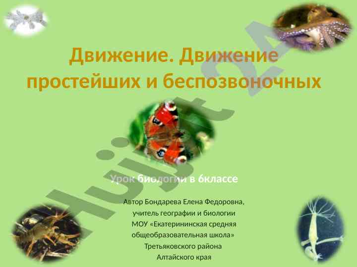 Dvizhenie prosteyshikh i bespozvonochnykh urok biologii
