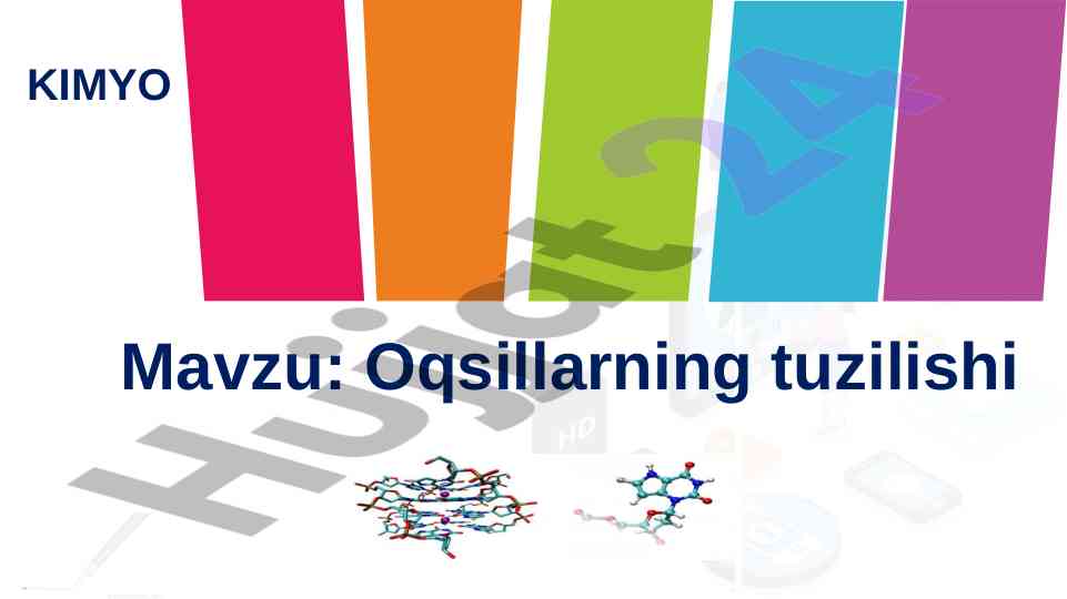 Oqsillarning tuzilishi va biologik ahamiyati