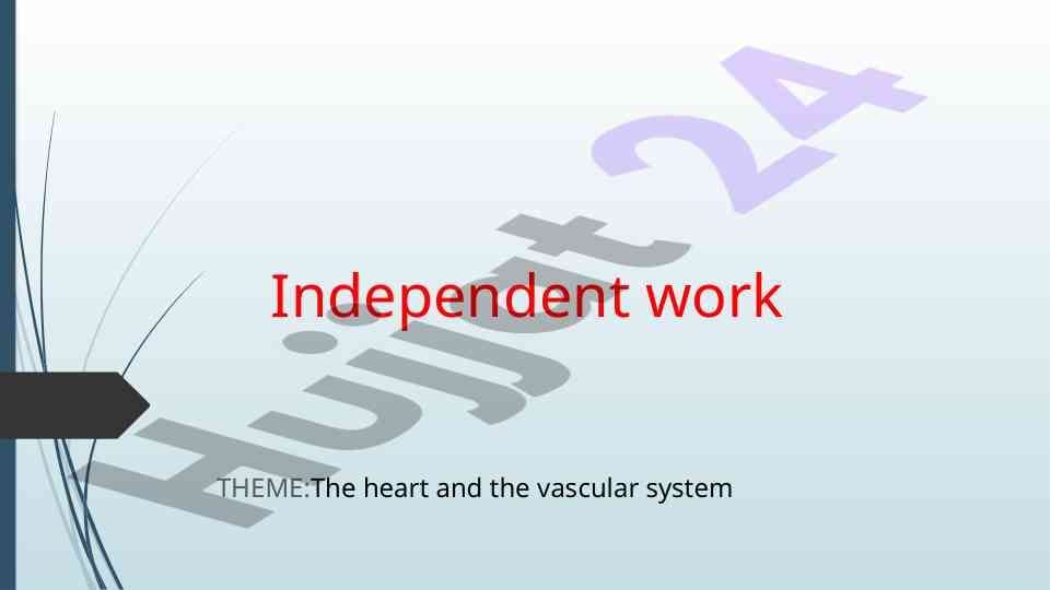 The heart and vascular system overview