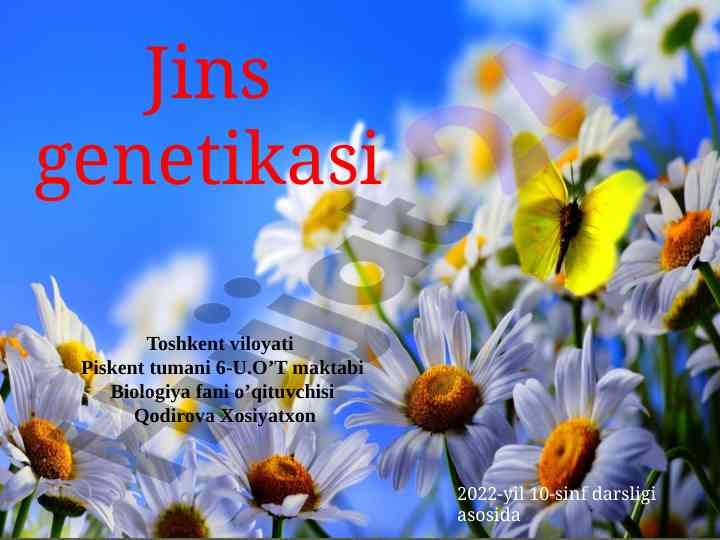 Jins genetikasi va jinsiy dimorfizm