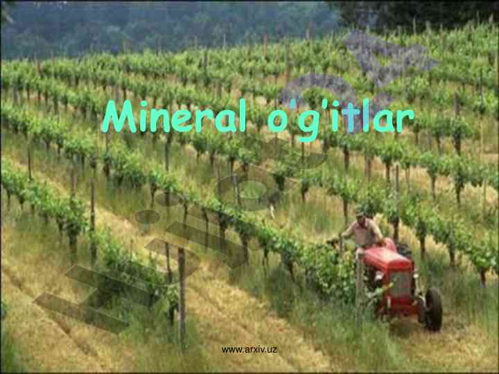 O’simlik tarkibi va mineral o’g’itlar ahmiyati