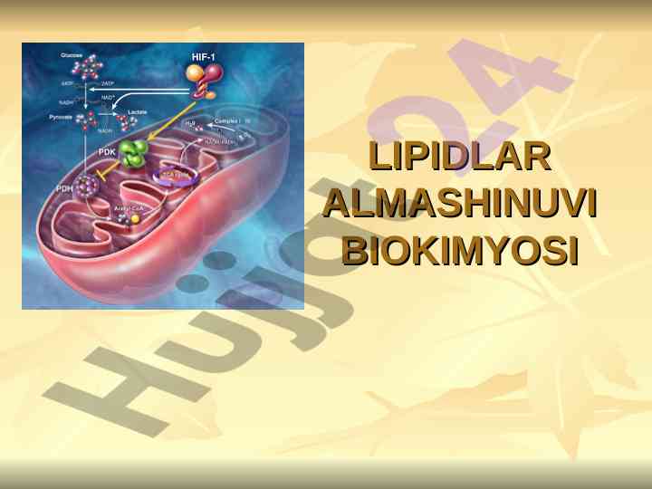 Lipidlar almashinuvi biokimyosi mavzusi