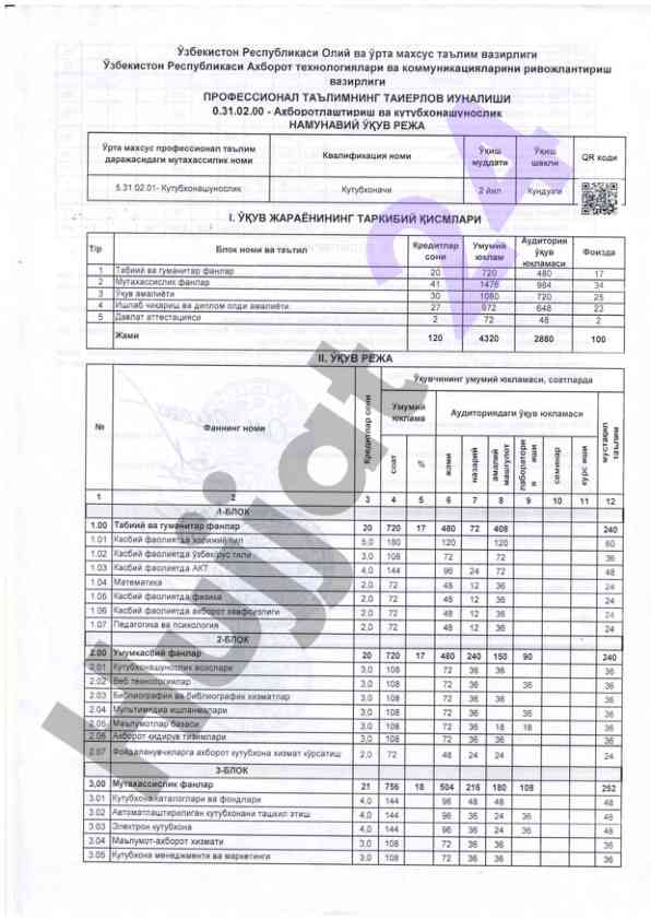 Namuna ta'lim rejasi oliy ta'lim darajasida
