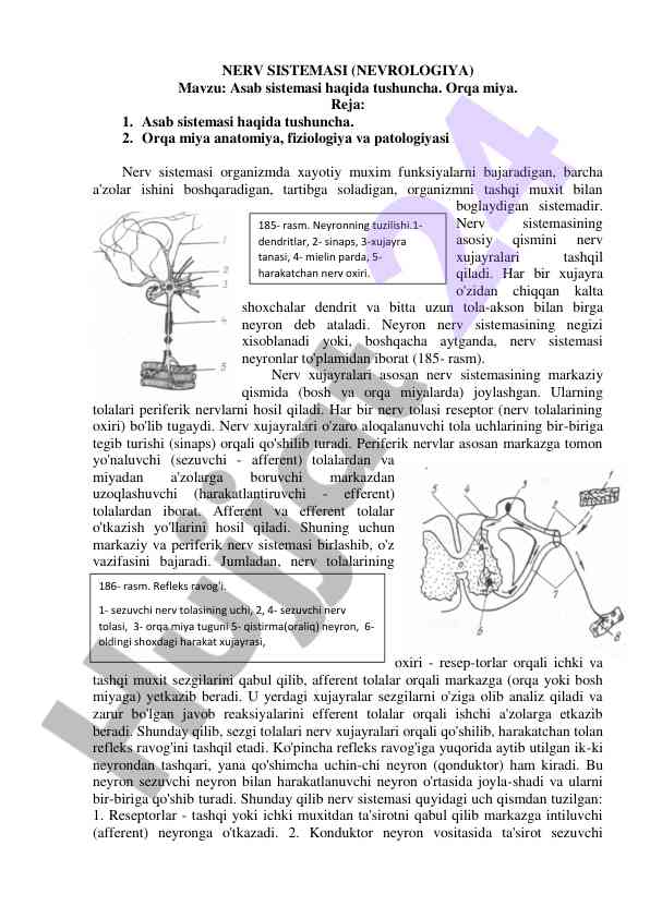 Nerv sistemasining tuzilishi va fiziologiyasi