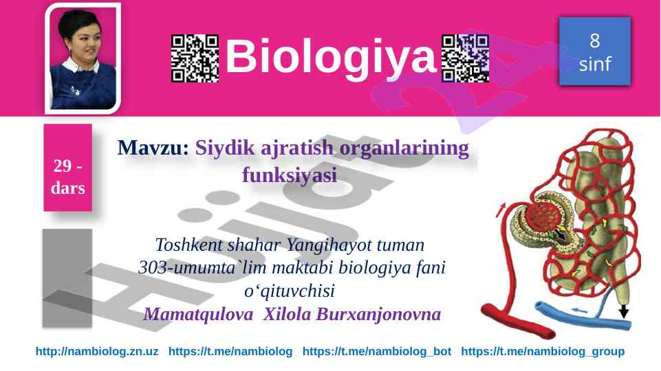 Siydik ajratish organlarining funksiyasi dars