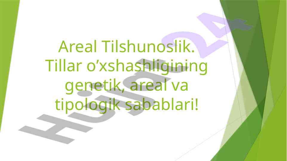 Areal tilshunoslikning tahlili va ta'siri