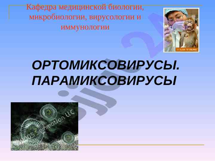 Инфекционные болезни человека и вирусы гриппа