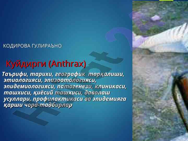 Куйдирги (anthrax) таърифи ва тарихи