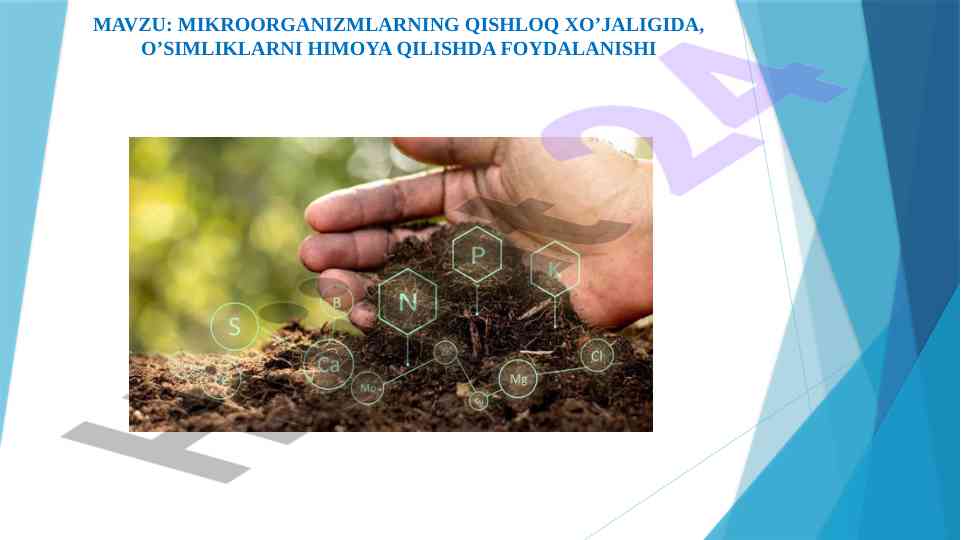 Mikroorganizmlarning qishloq xo‘jaligida foydalanuvchi