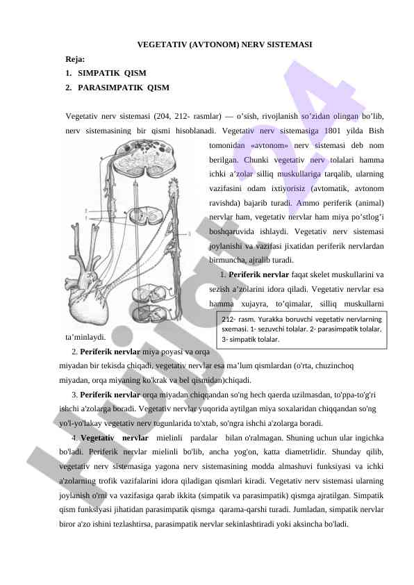 Vegetativ nerv sistema va uning qismlari