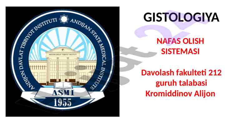 Nafas olish sistemasi va uning anatomiyasi
