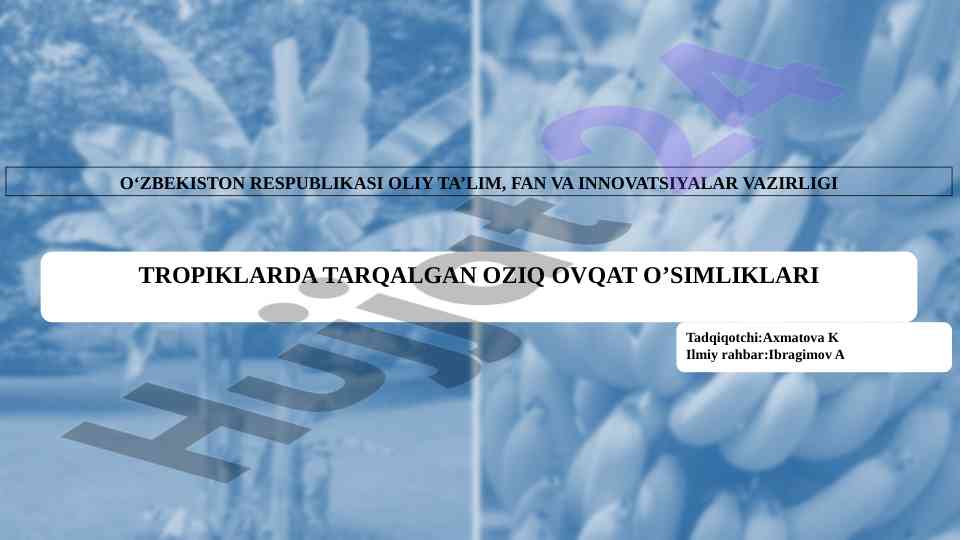 Tropiklarda tarqalgan oziq ovqat o’simliklari tadqiqoti