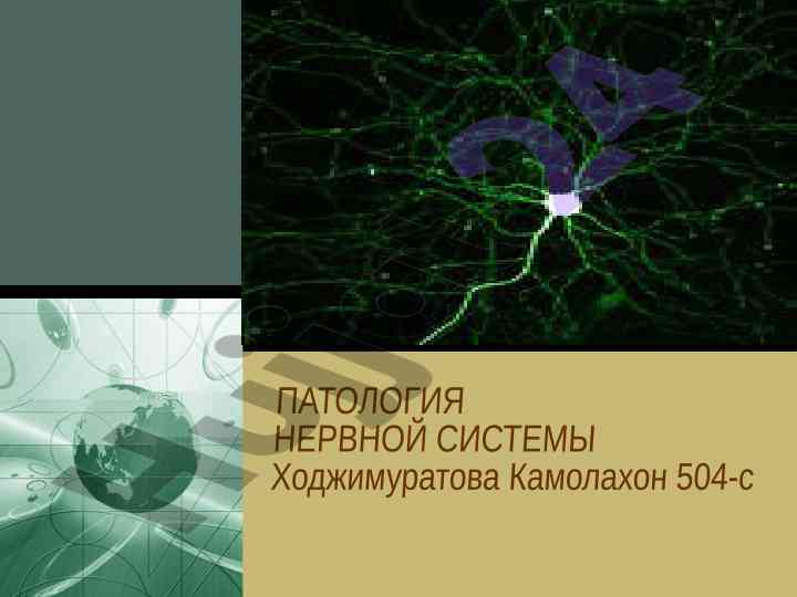 Патология нервной системы презентация